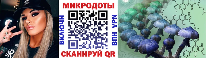 купить   Усмань  Псилоцибиновые грибы мухоморы 